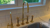 Polished Brass Kitchen Faucet With Sprayer 3-Hole